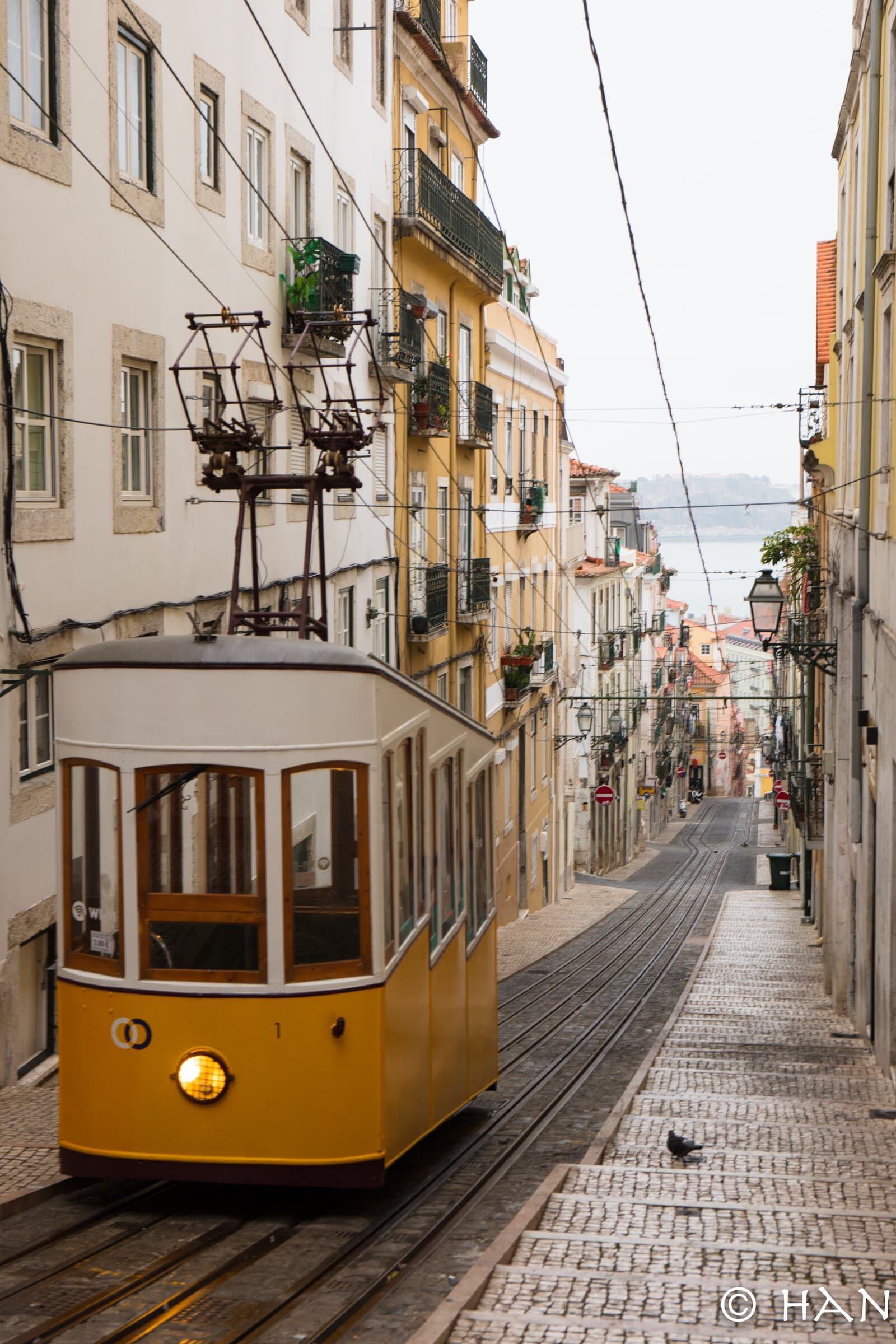 elevador da bica