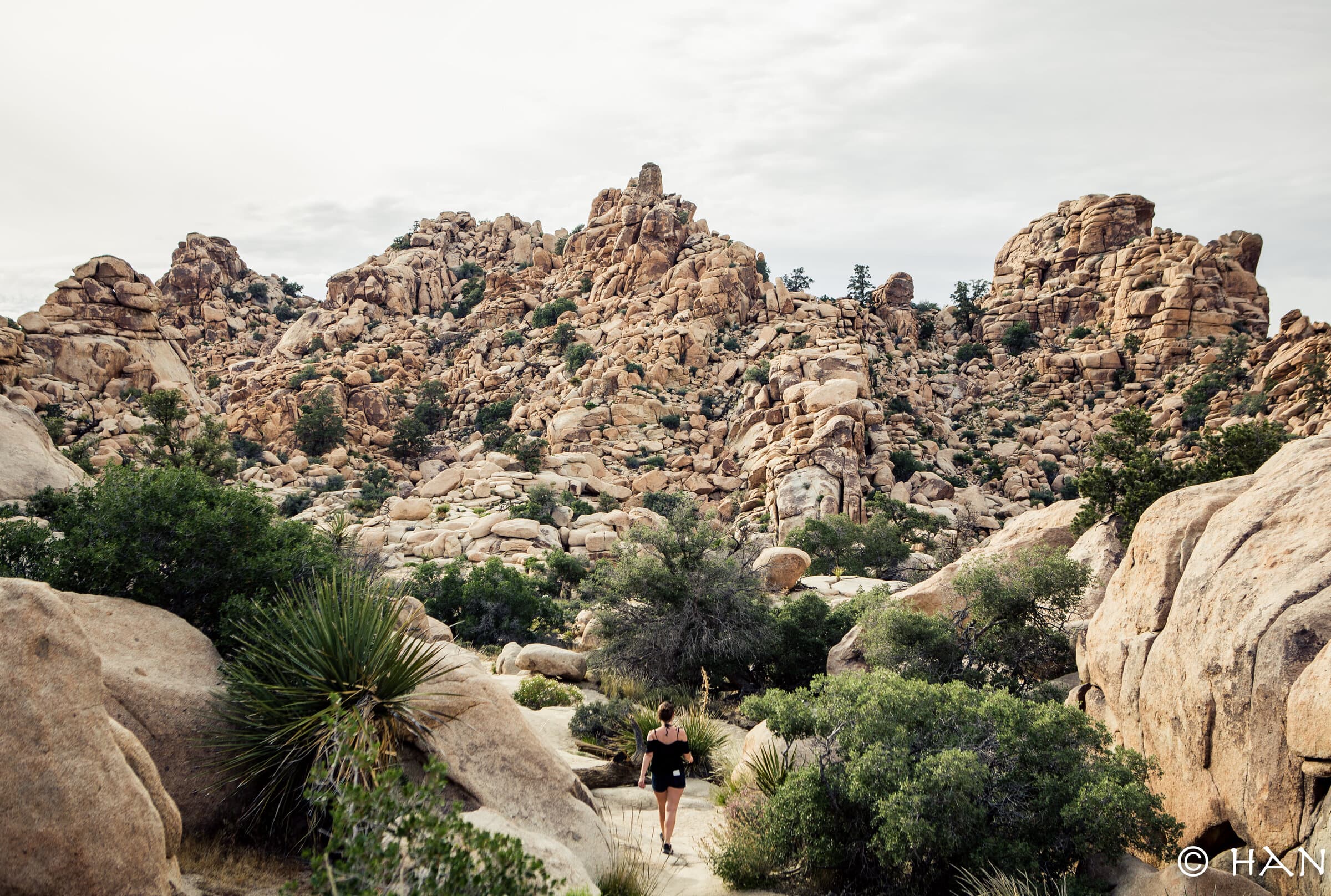 hidden valley